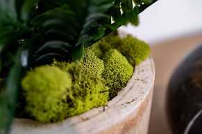 The Rosemont II - La Jolla Luxury