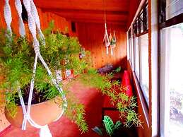 Miztli Lodge & Adventures