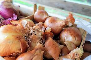 BIO AGRITURISMO SALOS