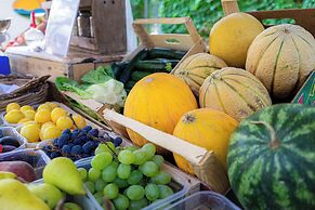 BIO AGRITURISMO SALOS