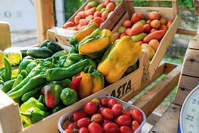 BIO AGRITURISMO SALOS