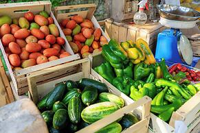 BIO AGRITURISMO SALOS