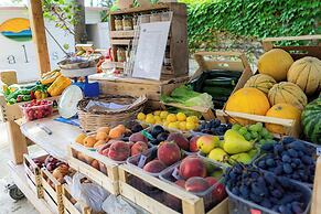 BIO AGRITURISMO SALOS