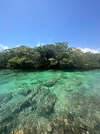 Magical Hotel In Akumal Beach