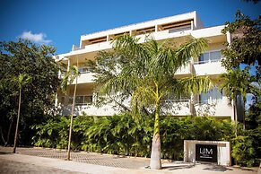 Magical Hotel In Akumal Beach