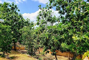 Cozy Apartment Greenwood