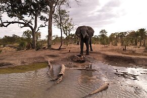 Chobe Mopani Forest Lodge & Camp site