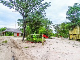 Chobe Mopani Forest Lodge & Camp site