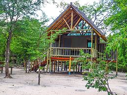 Chobe Mopani Forest Lodge & Camp site