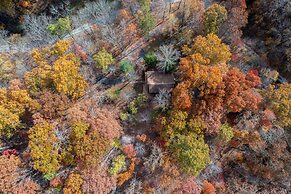 Cabin in the Trees, Hot Tub, Fire Pit