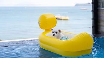 Namhae Kanu720 pet Poolvilla Pension