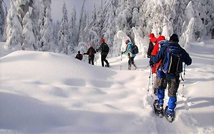 Mt Green Quick Walk to Lift Pool Sauna hot tub