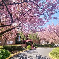 Amazing 2 Bedroom 2 Bath Condo