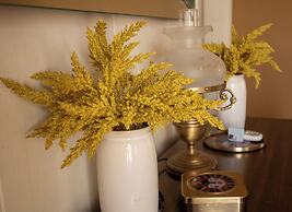 The Boho Buffalo Inn