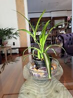 The Boho Buffalo Inn