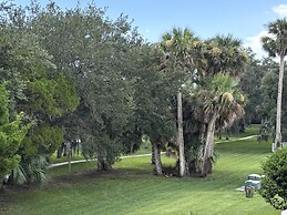 Palm Harbor #15