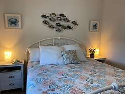 Vbp902 - Seashell Beach