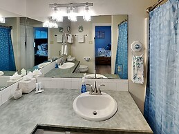 Spc650- The Driftwood