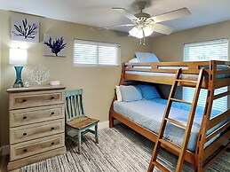 Spc650- The Driftwood