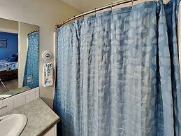 Spc650- The Driftwood