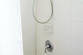 Roami at The Mandeville