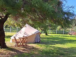 Bearsu Nature Almoxarife