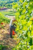 Villetta Large Morellino 5 pax