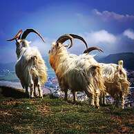 Lansdowne House with Private Car park