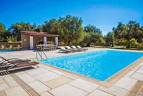 Villa Pomegranate Tree