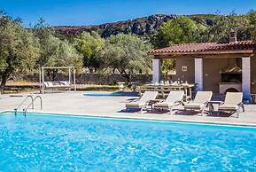 Villa Pomegranate Tree