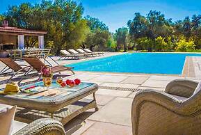 Villa Pomegranate Tree