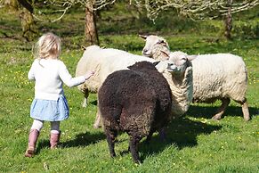 Kids Fun Farm Themed Bedroom in Cosy Cob Cottage