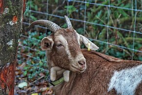 Kids Fun Farm Themed Bedroom in Cosy Cob Cottage