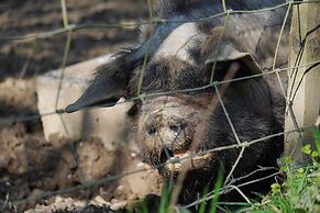 Kids Fun Farm Themed Bedroom in Cosy Cob Cottage