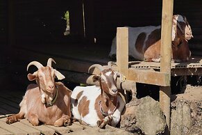 1 Bed 17th Century Stone Cottage in Rural Devon
