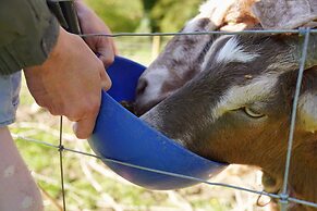 1 Bed 17th Century Stone Cottage in Rural Devon