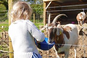1 Bed 17th Century Stone Cottage in Rural Devon