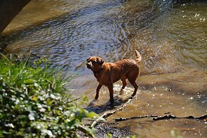 1 Bed 17th Century Stone Cottage in Rural Devon