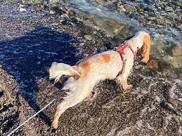 6 Person Holiday Home in Sydals-by Traum