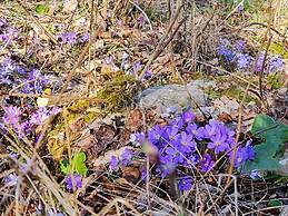 4 Person Holiday Home in Axvall-by Traum