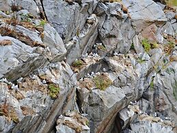 7 Person Holiday Home in Sortland-by Traum