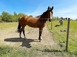 6 Person Holiday Home in Tingsryd-by Traum