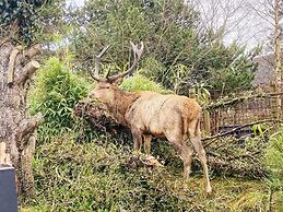 2 Person Holiday Home in Vejers Strand