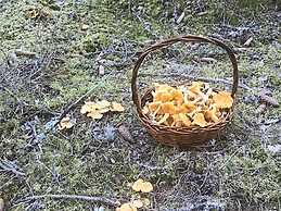 4 Person Holiday Home in Molkom-by Traum