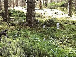 4 Person Holiday Home in Molkom-by Traum