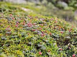 4 Person Holiday Home in Torpshammar-by Traum