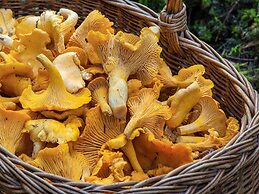 4 Person Holiday Home in Torpshammar-by Traum