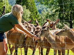 12 Person Holiday Home in Alfoten