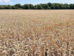 4 Star Holiday Home in Solvesborg-by Traum