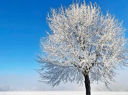 4 Star Holiday Home in Solvesborg-by Traum